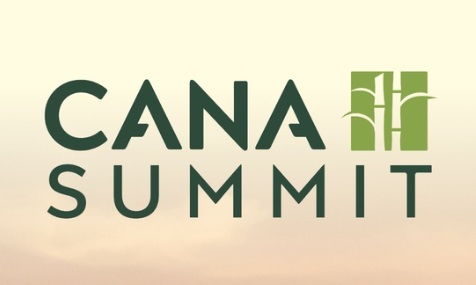 Cana Summit: evento em Brasília discute o futuro da cana-de-açúcar