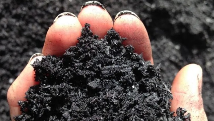 Biocarvão foi capaz de reter as espécies inorgânicas e orgânicas de arsênio do solo (Foto: Divulgação Regeneration International)