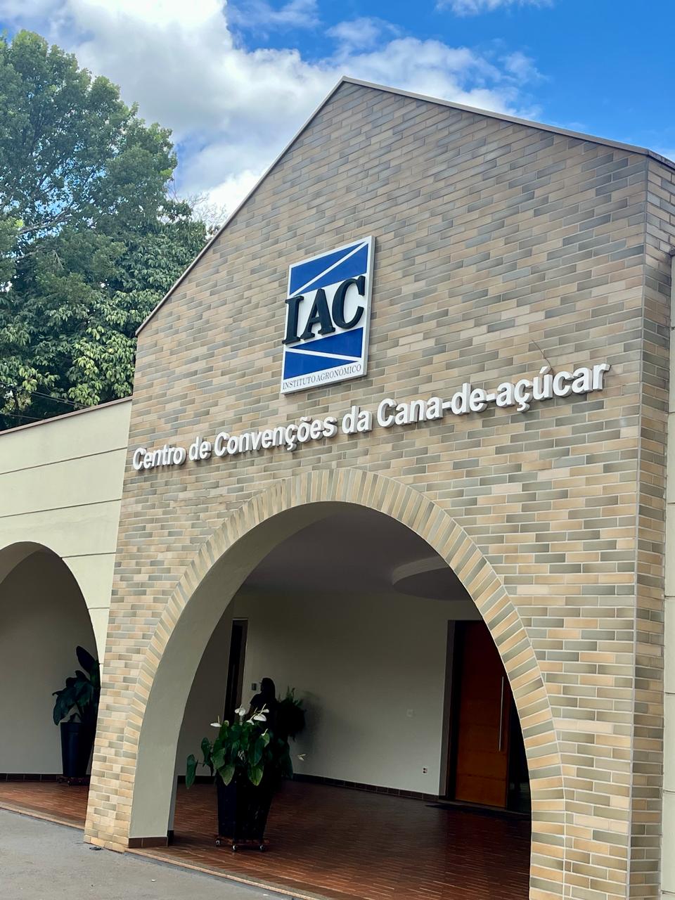 IAC lança novas variedades de cana; saiba mais IAC lança novas variedades de cana; saiba mais