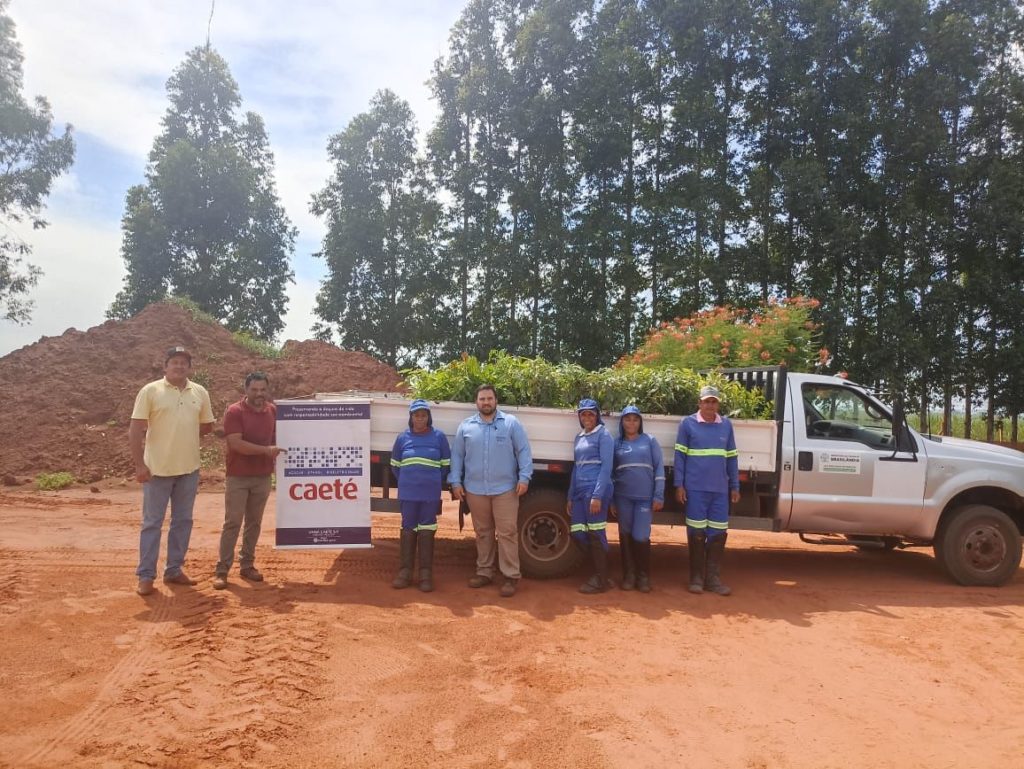 Paulicéia realiza doação de 500 mudas de árvores para Brasilândia