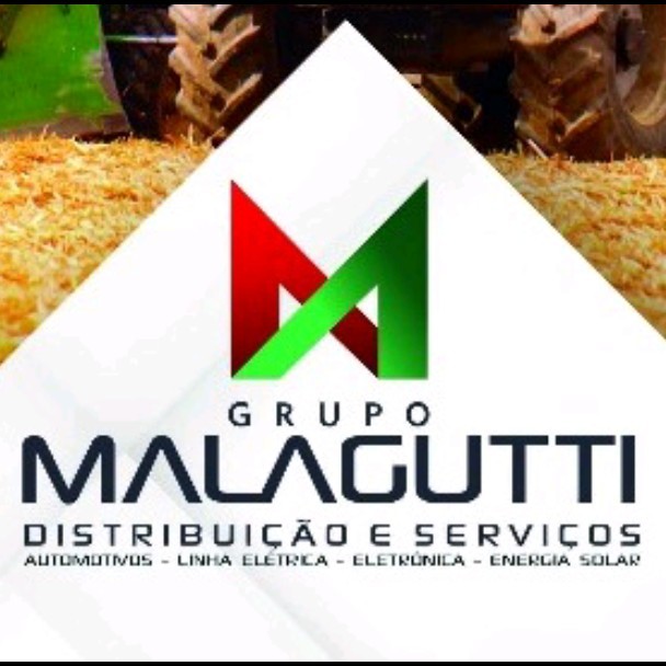 Grupo Malagutti atua na manutenção de linhas leve, pesada e agrícola