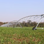 Sistemas de irrigação começam a se consolidar em São Paulo