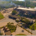 Diana mira na marca de 2,5 milhões de toneladas de cana