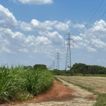 Brasil bateu recorde de produção de energia renovável em 2023, aponta estudo da CCEE