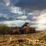 Ilustração de conteúdo sobre a Usina Nova Gália