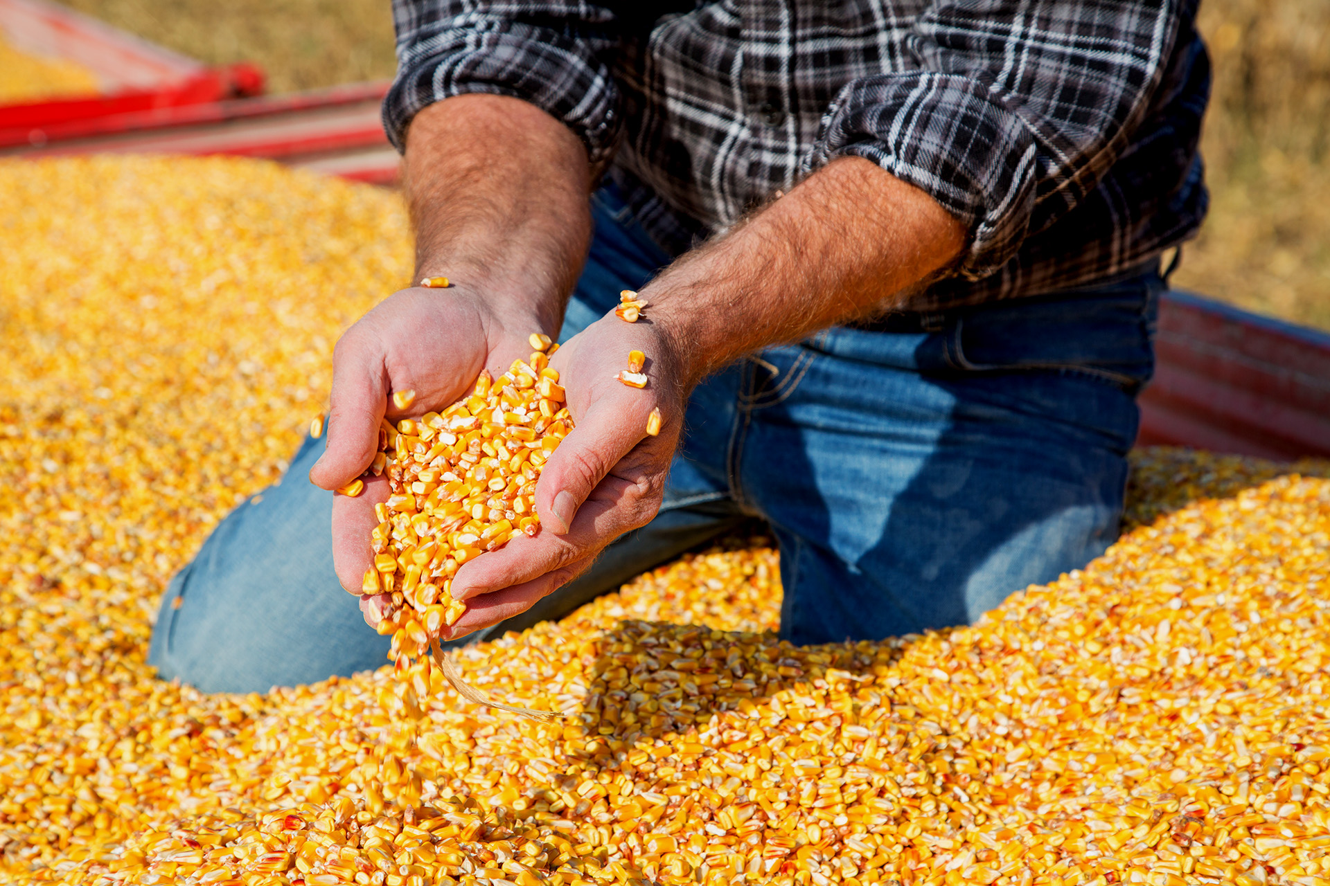 Produção de etanol de milho registra crescimento de 40%