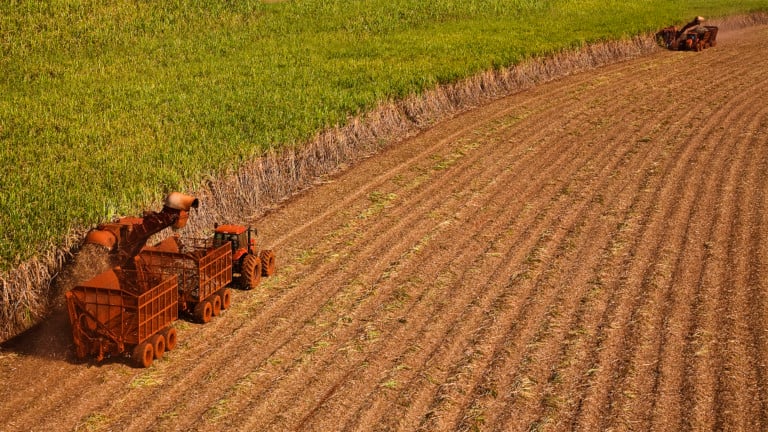 Ometto quer se desfazer de usinas no Mato Grosso do Sul, diz colunista