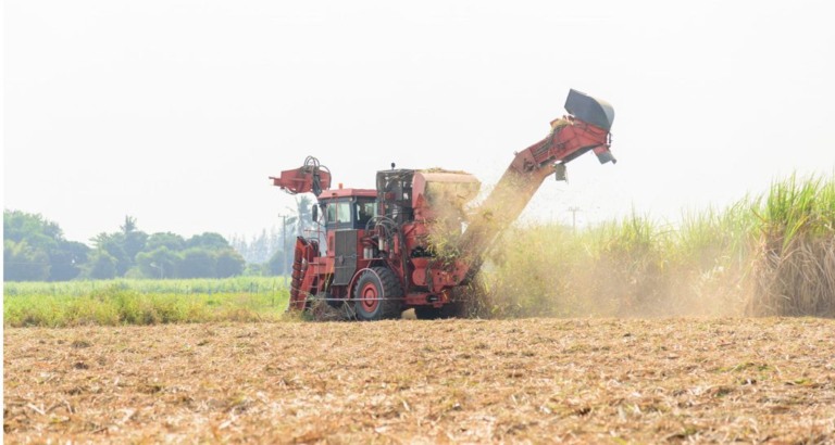 Acordo sobre receita de Cbios a produtores de biomassa deve impulsionar setor sucroenergético