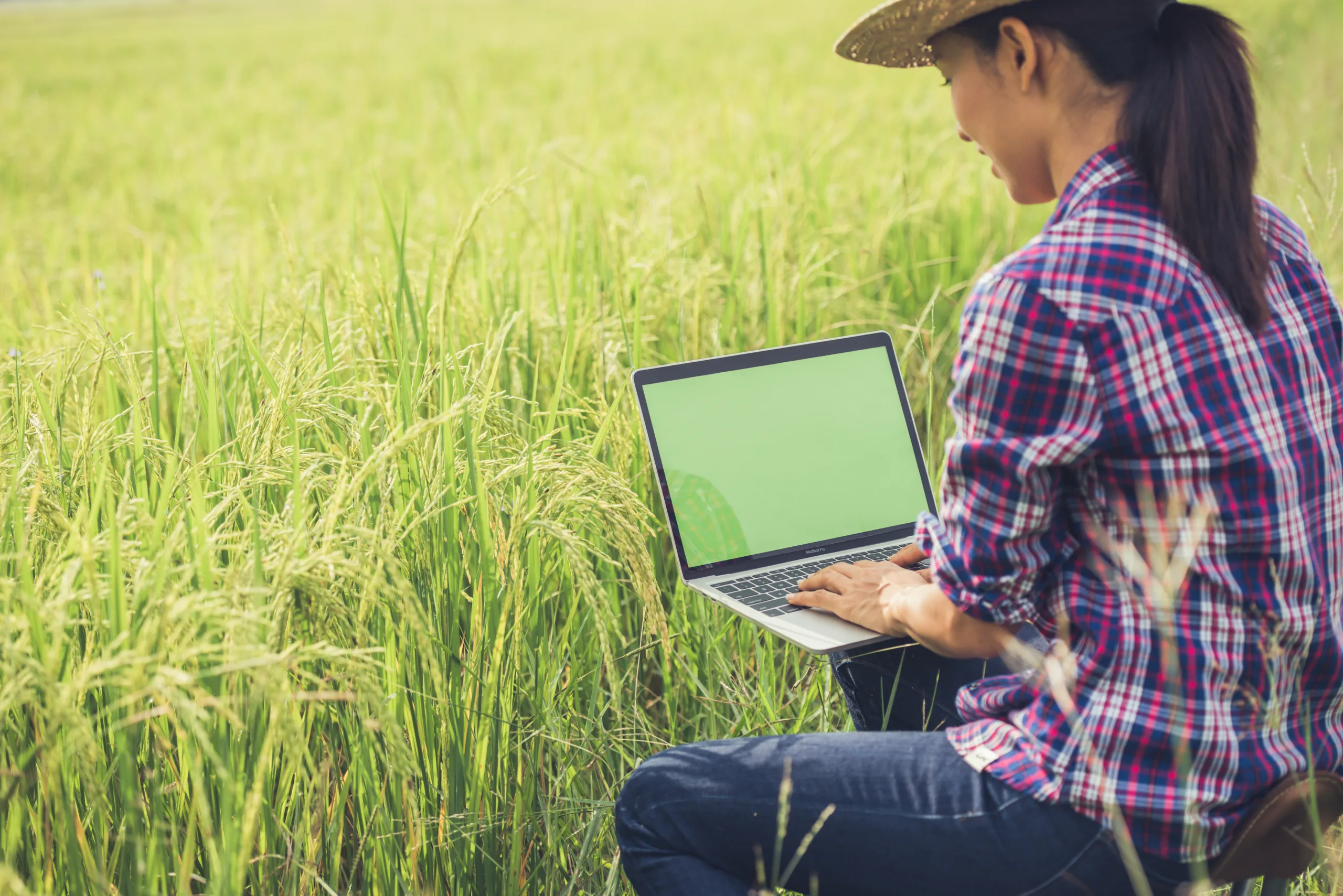 KPMG e SAE BRASIL: apenas 16% dos agricultores têm internet de alta qualidade na propriedade