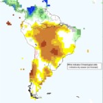 Canaviais com chuvas acima da média devem continuar por meses, diz AFCP