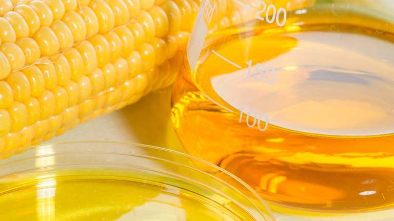 Participação do milho na produção de etanol cresce no Brasil