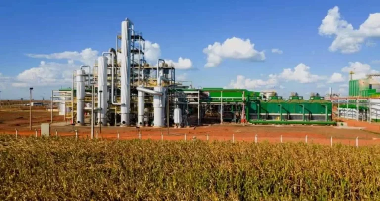 ALD Bioenergia Deciolândia S/A avança no mercado de biocombustíveis