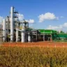 ALD Bioenergia Deciolândia S/A avança no mercado de biocombustíveis