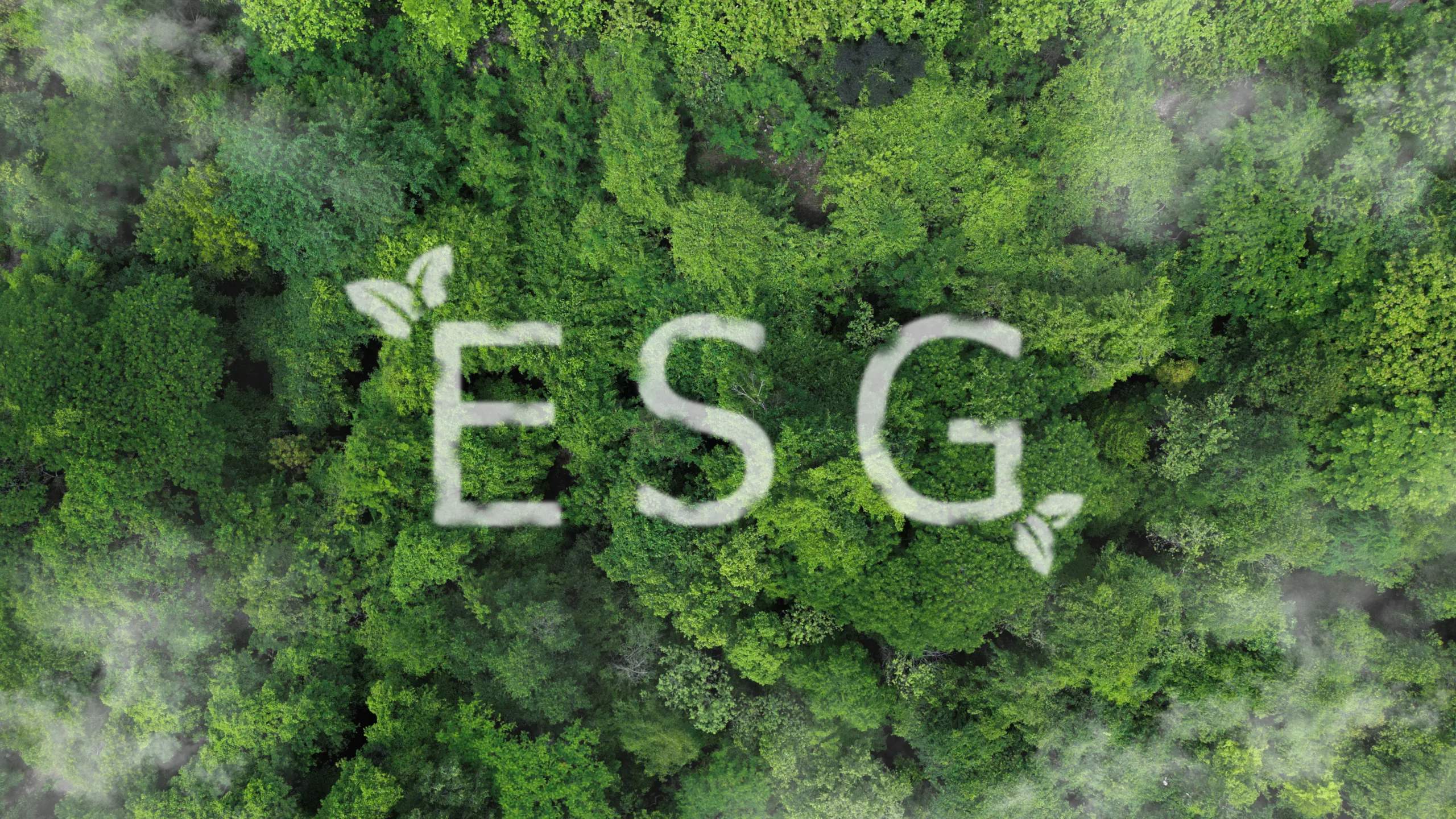 ESG - Environment, Society, Governance, Corporate Governance Sustainability scores and indicators green investment Environmentally sustainable company