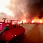 Grupo Moreno recompensará com até R$ 30 mil denúncias de incêndios criminosos