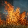 Autor de incêndios na zona rural é sentenciado e terá de pagar multa de R$ 3 milhões