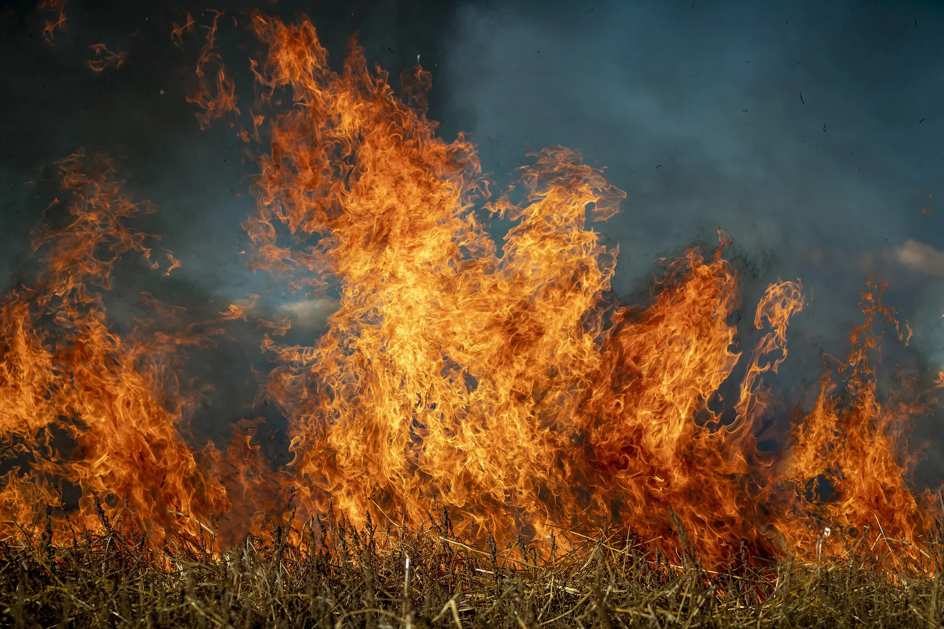 CRV Industrial e Rubi S.A. manifestam preocupação com onda de incêndios