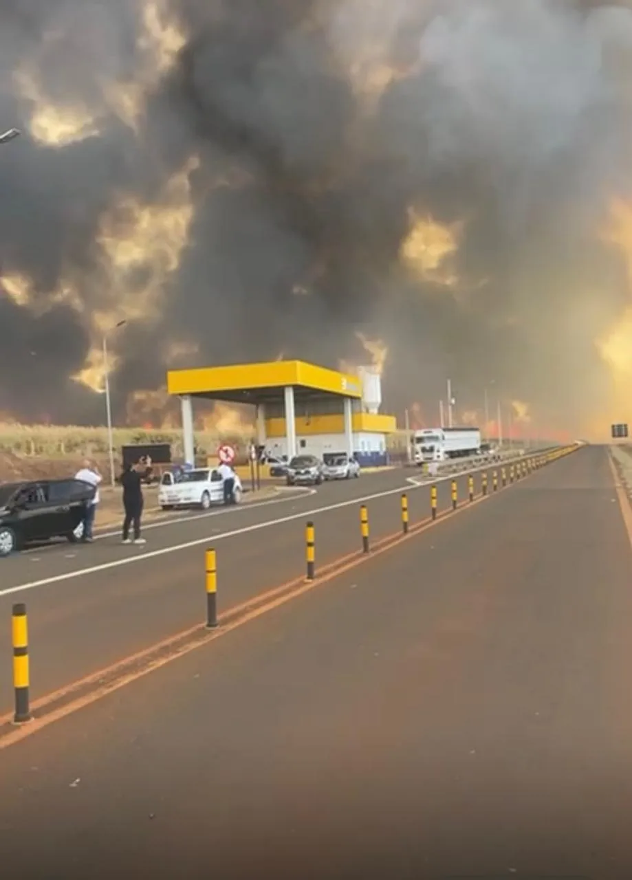 Incêndio em canavial em Sertãozinho-SP força evacuação de usina e causa engavetamento na rodovia SP-322