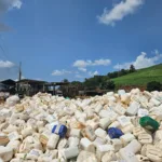 Coaf arrecada 8 toneladas de embalagens vazias de defensivos agrícolas