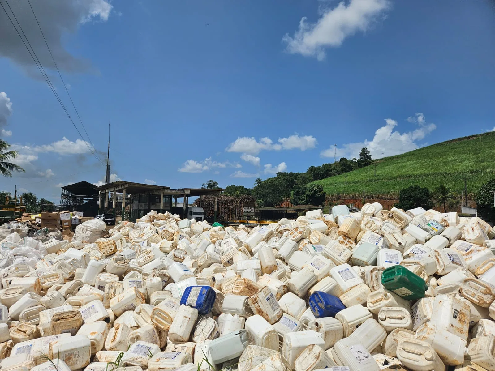 Coaf arrecada 8 toneladas de embalagens vazias de defensivos agrícolas