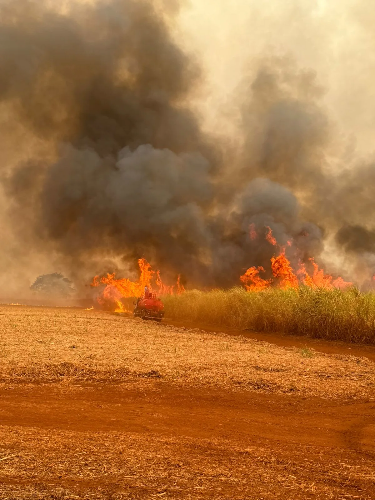 Com previsão de tempo quente e seco para os próximos dias, continua alerta para risco de incêndio no interior paulista