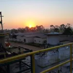 Fornecedores da Nova Campo Lindo esperam recuperar prejuízos nesta nova safra