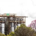 Saiba o que provocou queda nos resultados da Cocal no 1º trimestre da safra
