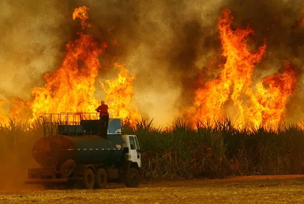 Setor unido no combate aos incêndios em São Paulo