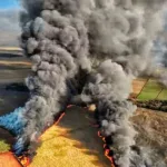 Presidente da Câmara Setorial de Açúcar e Álcool e da Unida pede investigação e repudia “incêndios criminosos” em São Paulo