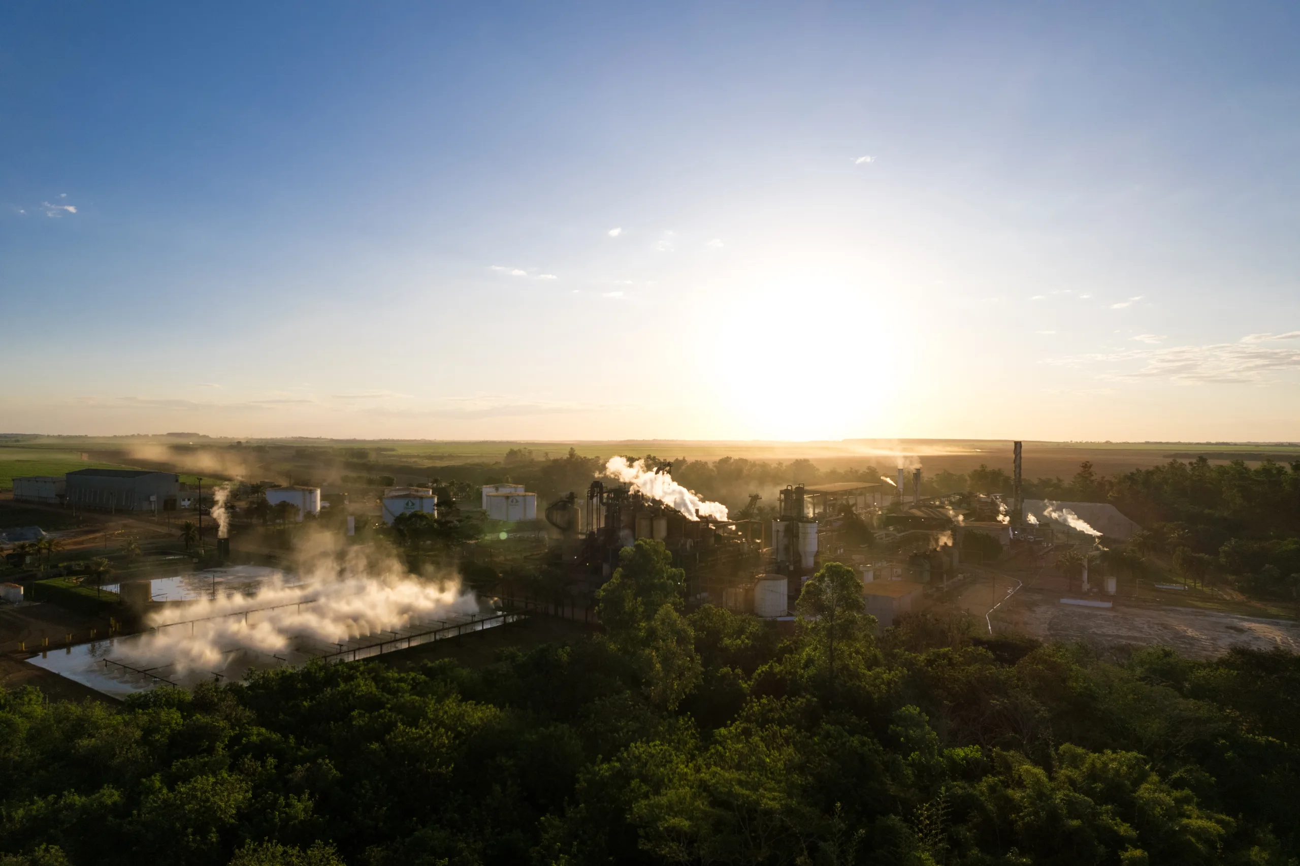 Diana Bioenergia chega aos 4.3 na sua melhor versão