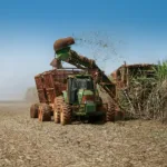 Unidade da CRV Industrial de Capinópolis encerra a safra; confira como foi a moagem e a produção de açúcar e de etanol