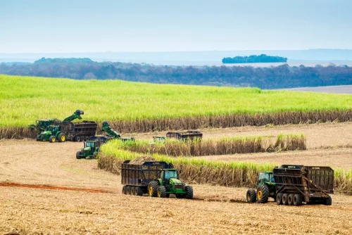 Moagem no Centro-Sul atinge 45 milhões de toneladas na 2ª quinzena de agosto