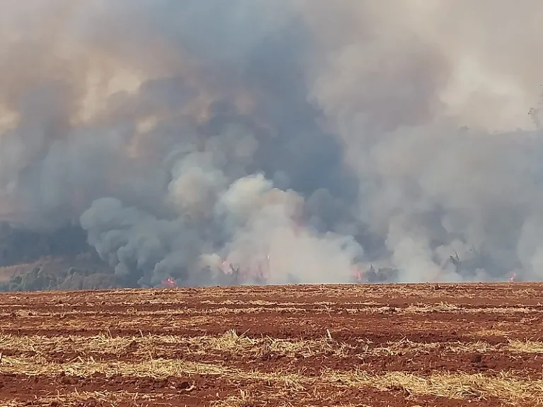 Prevenção e Combate a Incêndio nas Usinas é tema de Webinar do JornalCana no dia 02