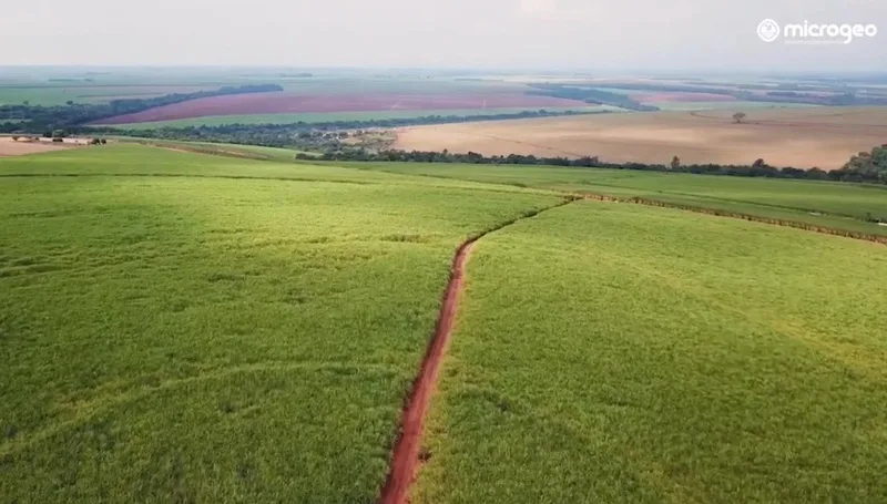 Manejo microbiológico do solo maximiza recursos e resiliência climática