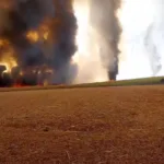 Agosto marca recorde histórico de incêndios em São Paulo, impactando setor agroindustrial