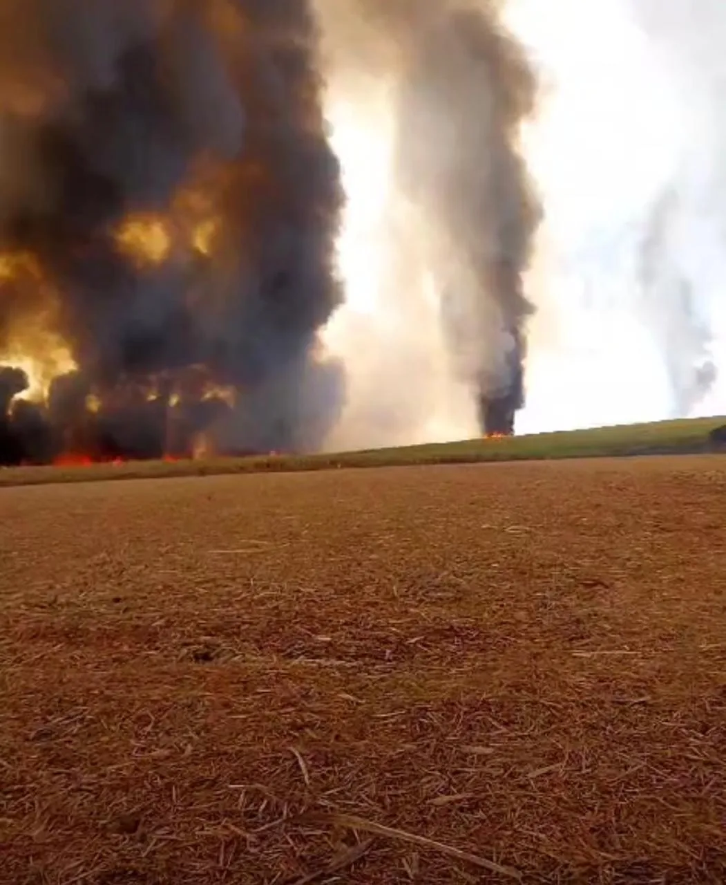 Agosto marca recorde histórico de incêndios em São Paulo, impactando setor agroindustrial