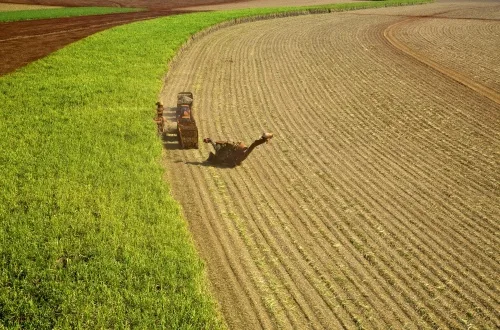 Moagem registra crescimento de 2,46% em setembro