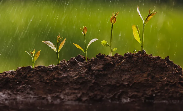 Como será o clima no Brasil em outubro?