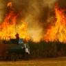 UNICA informa que incêndios atingiram  230 mil hectares de cana em SP