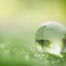 Close up of crystal globe resting on grass in a forest - environment concept