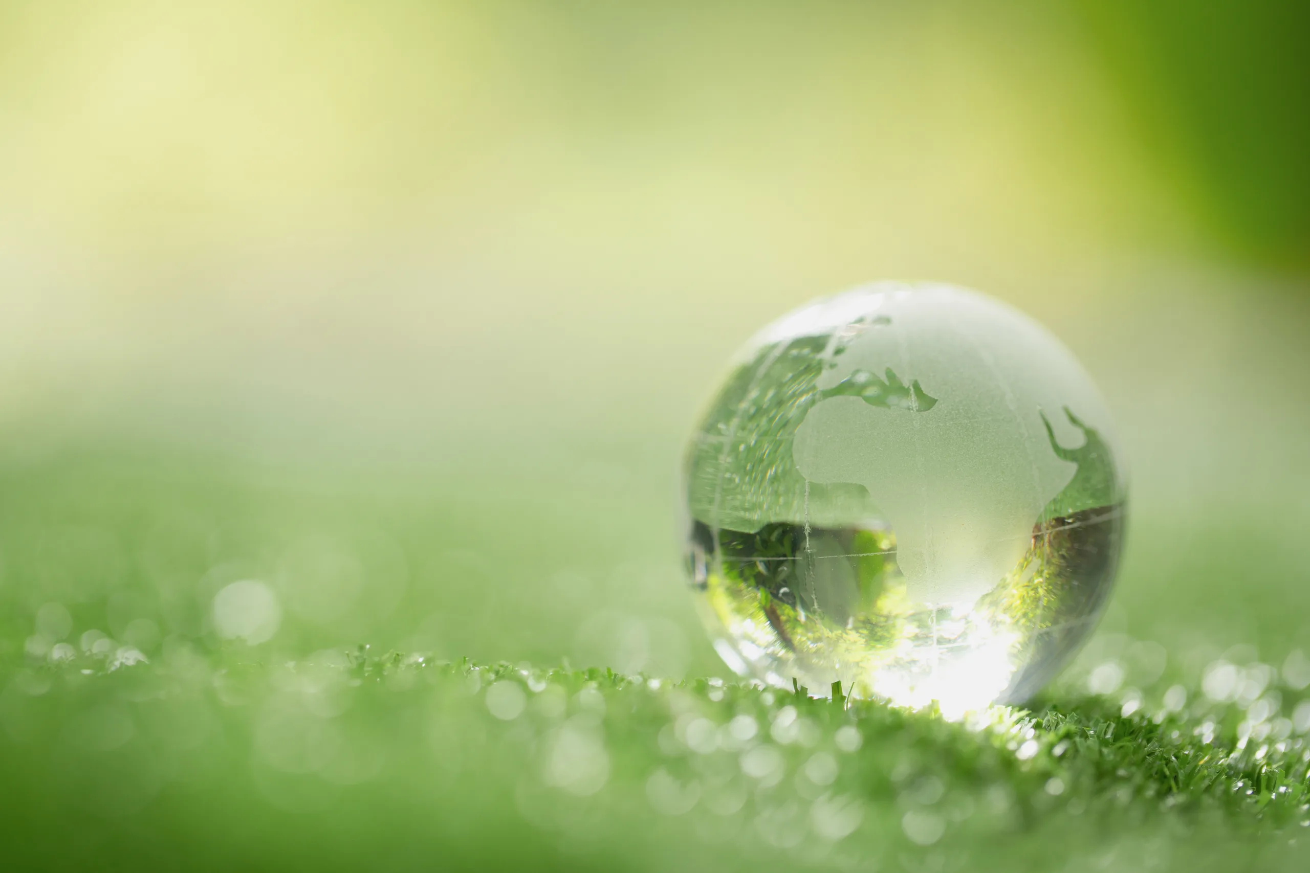 Close up of crystal globe resting on grass in a forest - environment concept