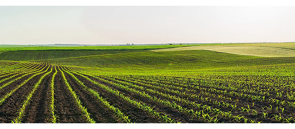 Corteva Agriscience abre inscrições para programa de estágio