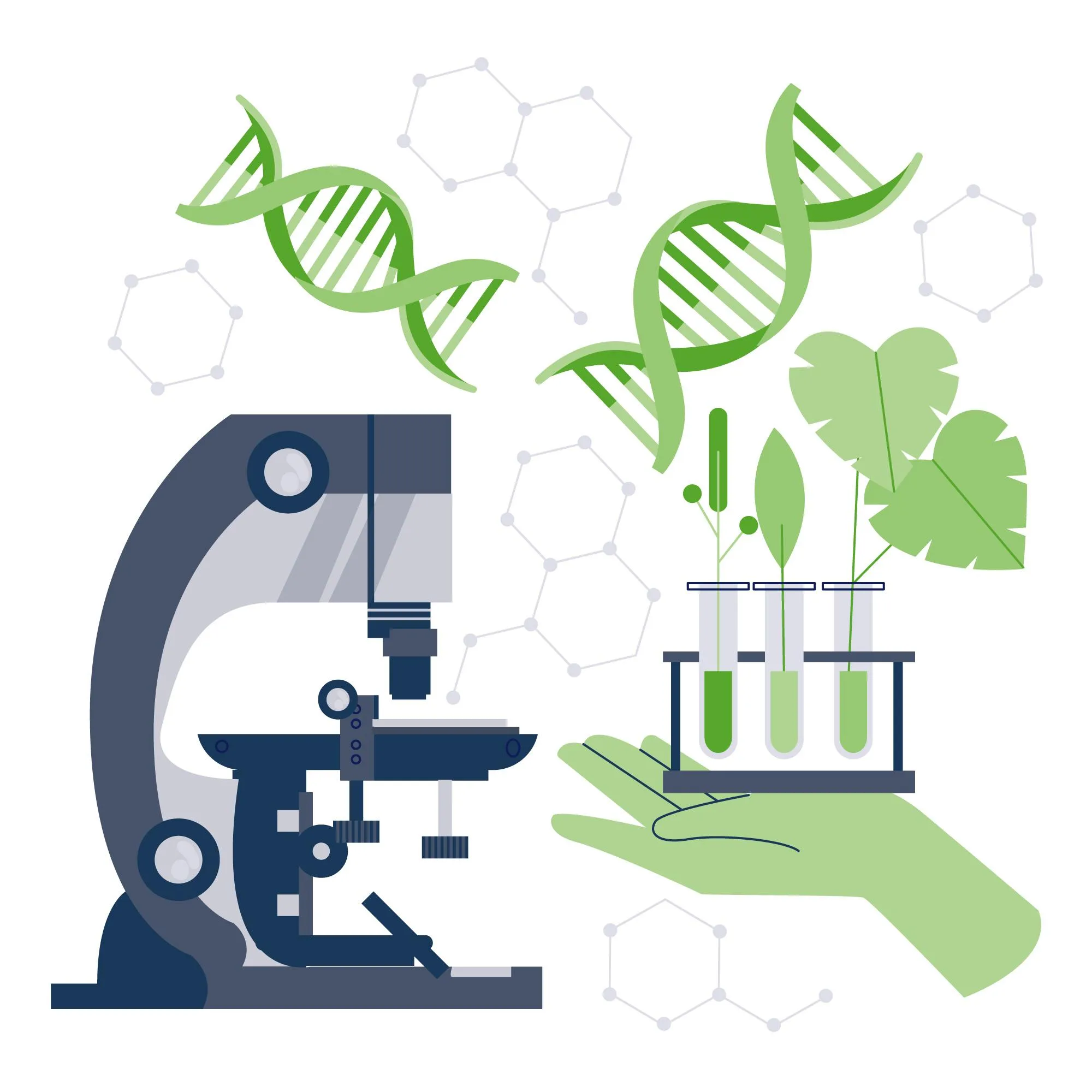 Ilustração em reportagem sobre projeto que regulamenta os bioinsumos