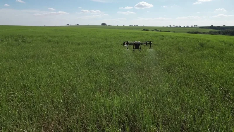 Tereos adota uso de drones para liberação de agentes biológicos em 100% de suas operações 