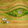 2 tecnologias que podem contribuir com o agro em 2025