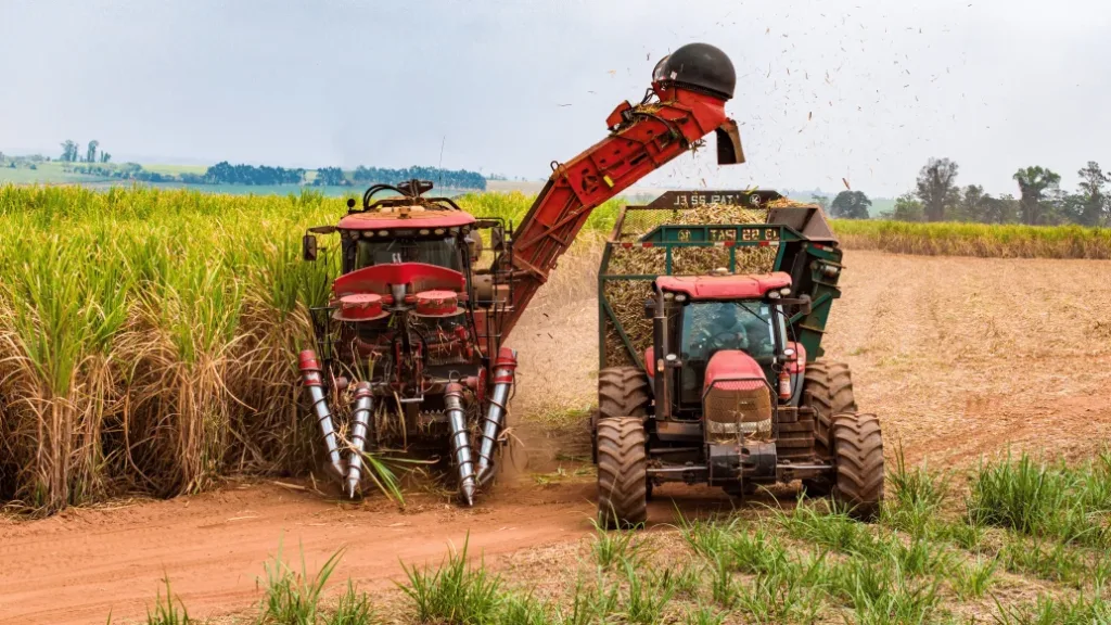 ANP oficializa capacidade de produção de etanol de usina da Nardini Agroindustrial