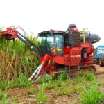 COFCO lança live para divulgar vagas para novos talentos