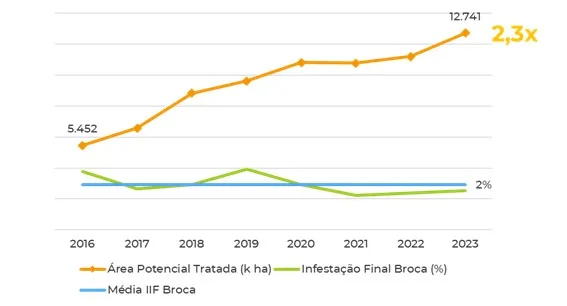 Broca provoca perdas elevadas às usinas, mas pode ser controlada