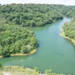 Reserva da Usina São José Agroindustrial recebe animais silvestres