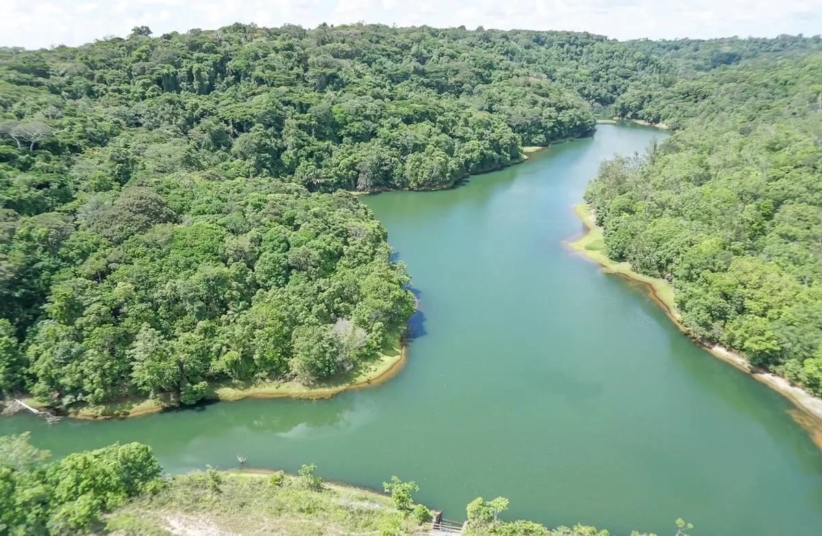 Reserva da Usina São José Agroindustrial recebe animais silvestres